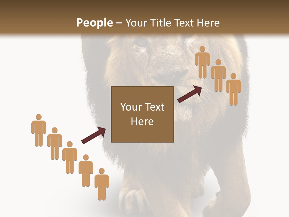 Lion White Background PowerPoint Template