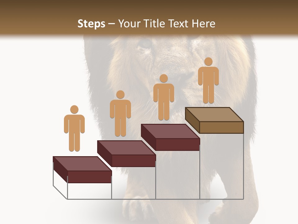 Lion White Background PowerPoint Template