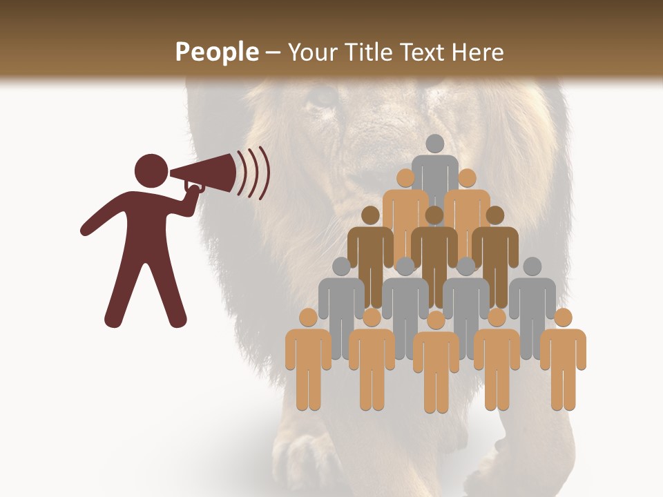 Lion White Background PowerPoint Template