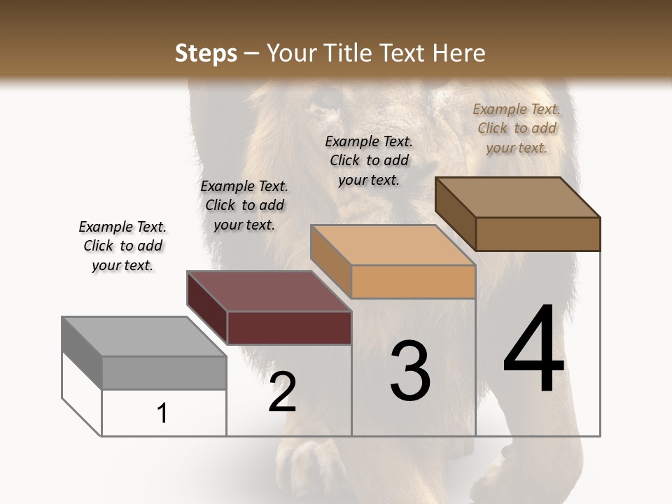 Lion White Background PowerPoint Template