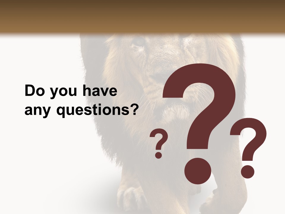 Lion White Background PowerPoint Template