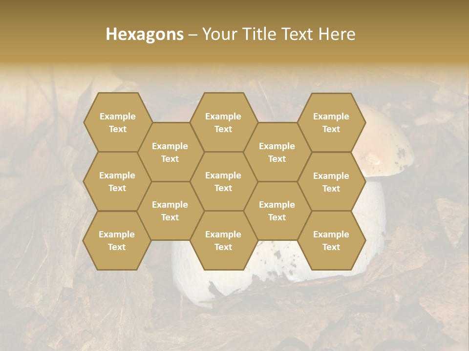 Botanical Season Natural PowerPoint Template