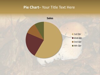 Botanical Season Natural PowerPoint Template