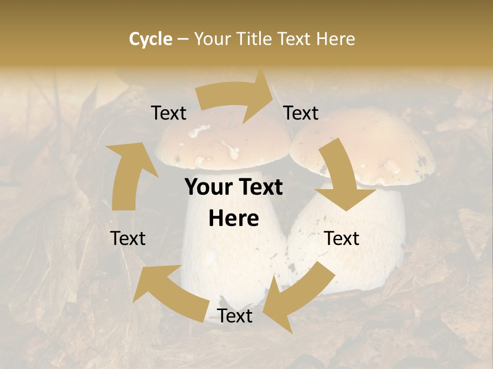 Botanical Season Natural PowerPoint Template