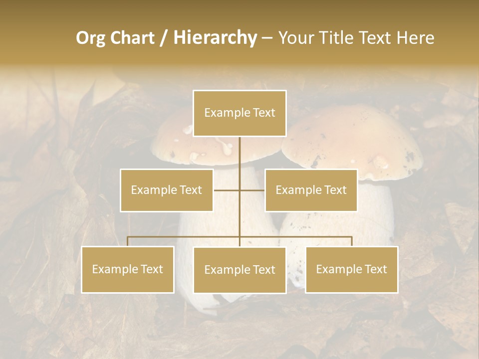 Botanical Season Natural PowerPoint Template