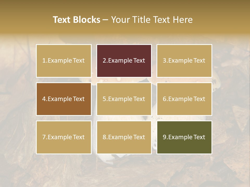 Botanical Season Natural PowerPoint Template