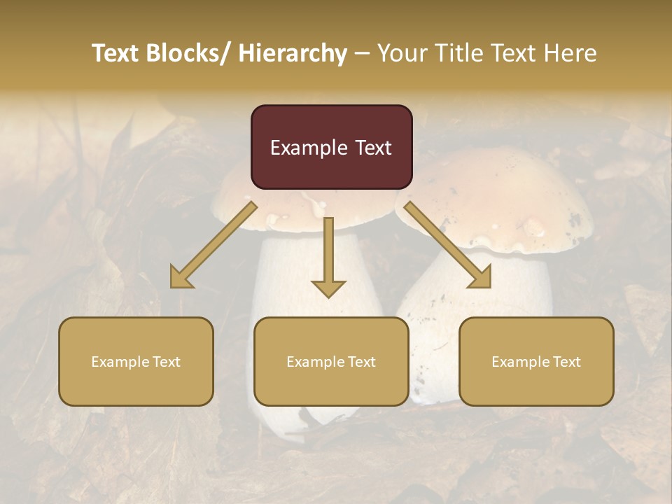 Botanical Season Natural PowerPoint Template