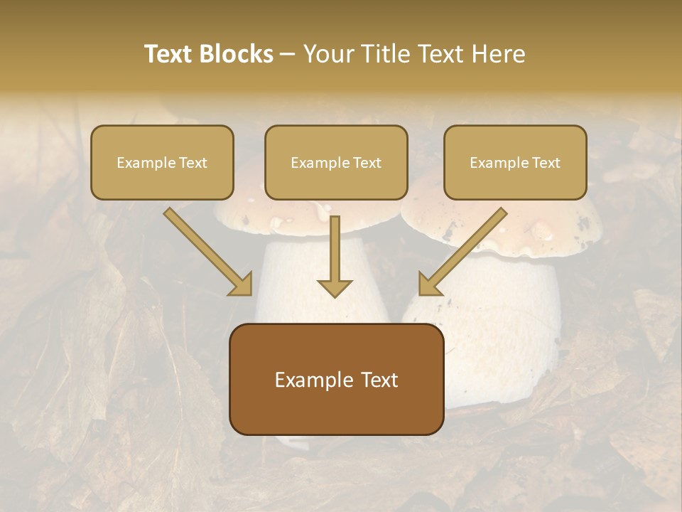 Botanical Season Natural PowerPoint Template