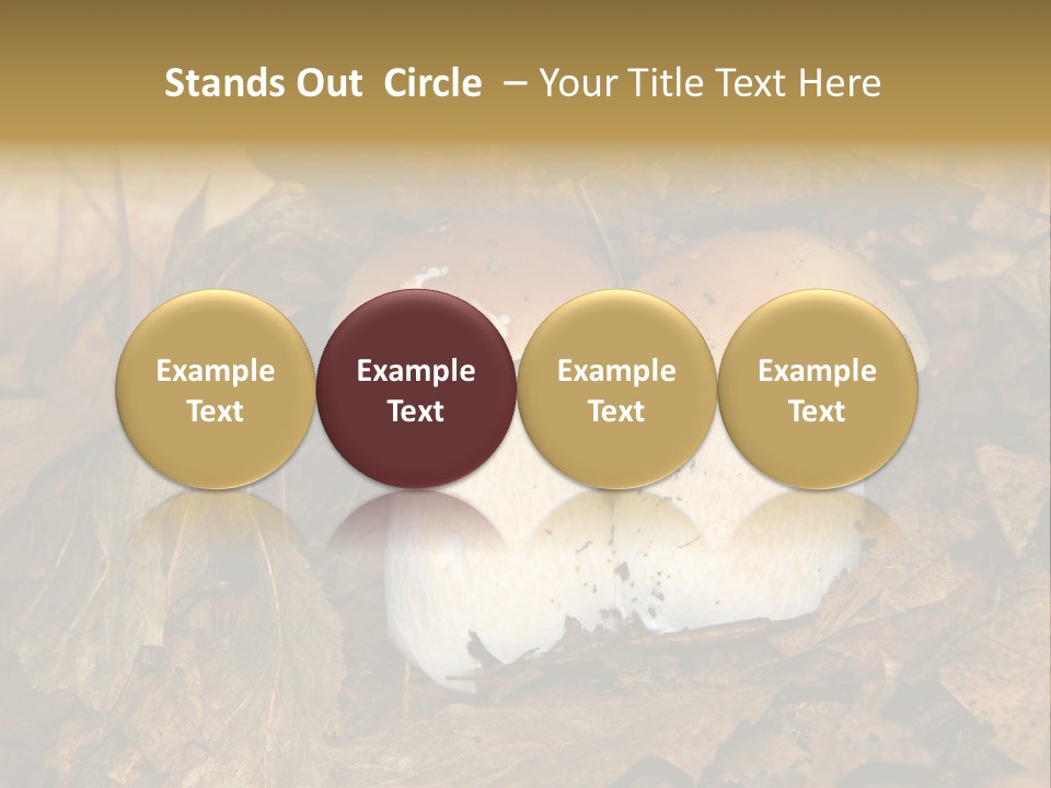 Botanical Season Natural PowerPoint Template