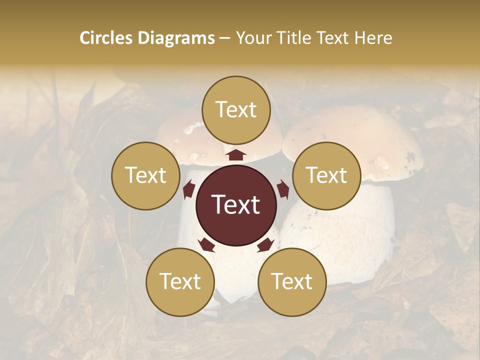 Botanical Season Natural PowerPoint Template