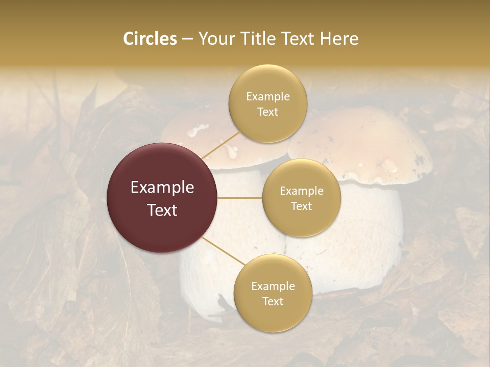 Botanical Season Natural PowerPoint Template