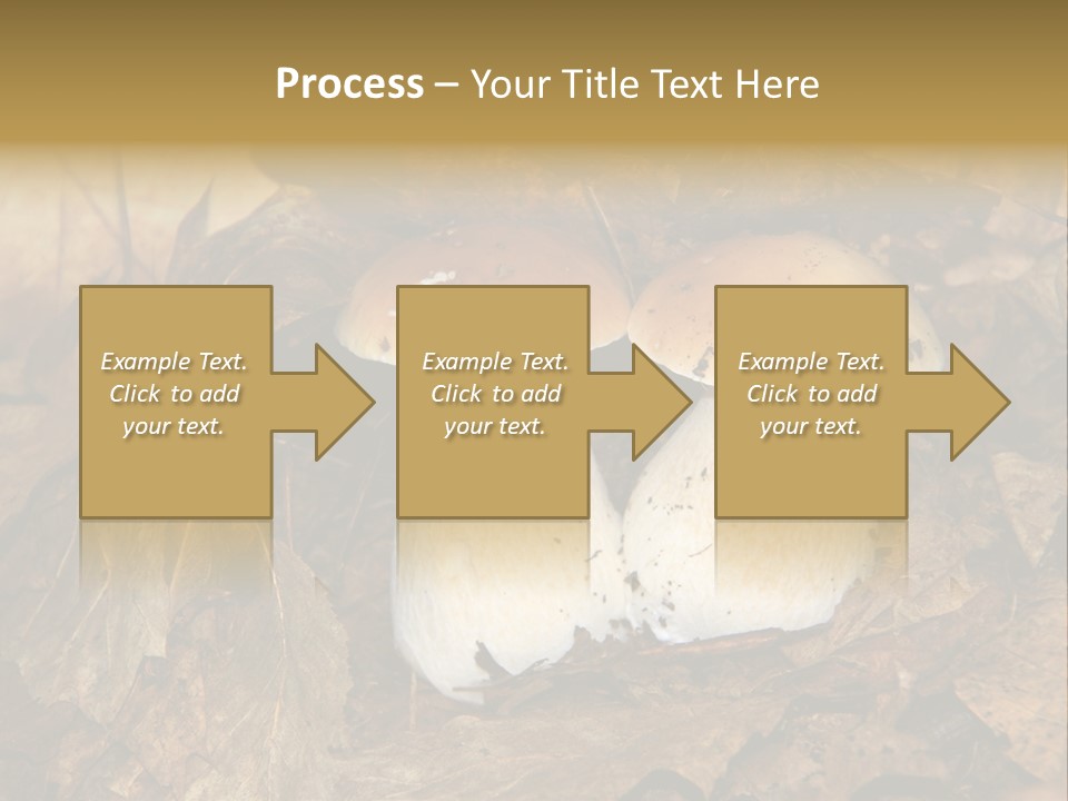 Botanical Season Natural PowerPoint Template