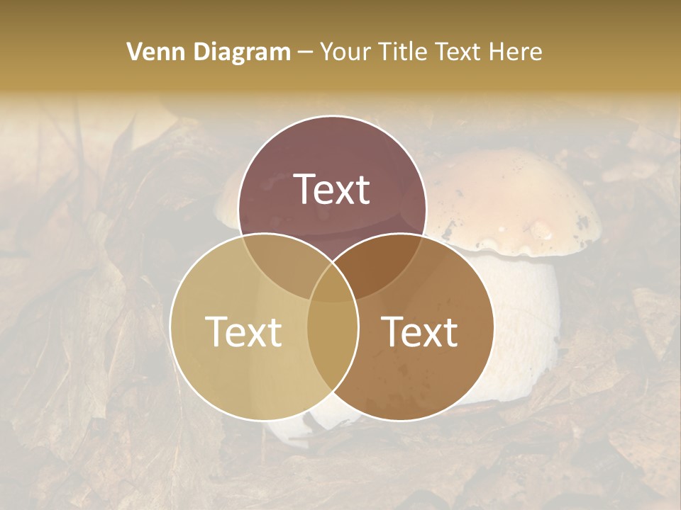 Botanical Season Natural PowerPoint Template