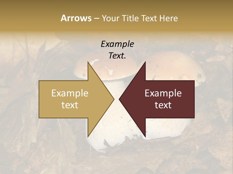 Botanical Season Natural PowerPoint Template