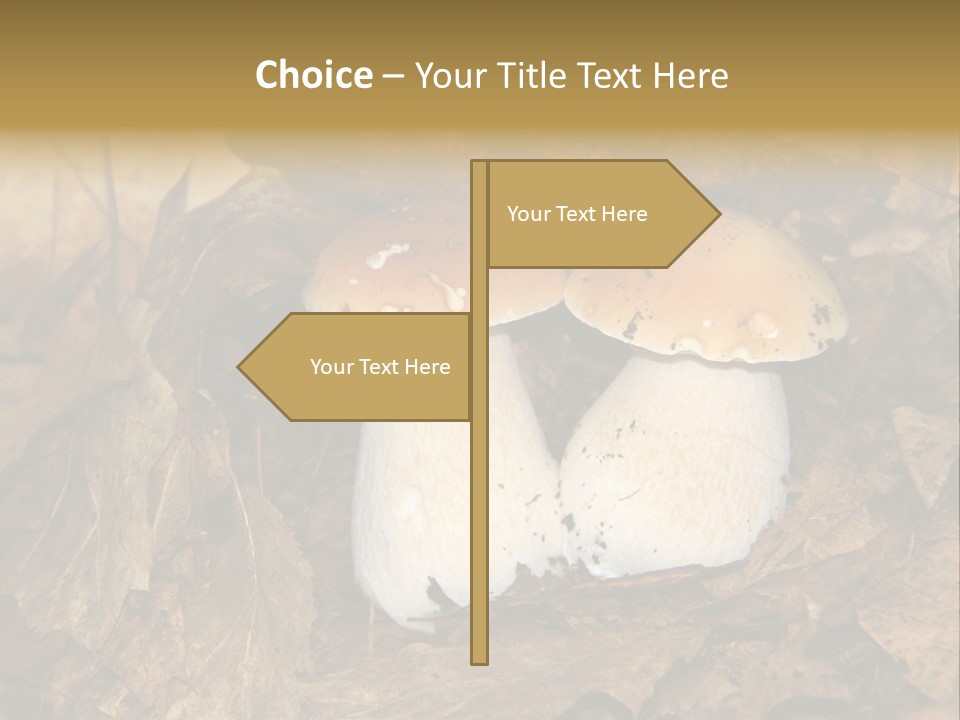 Botanical Season Natural PowerPoint Template