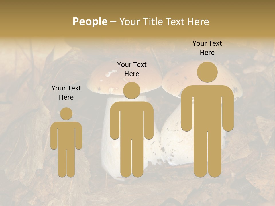 Botanical Season Natural PowerPoint Template