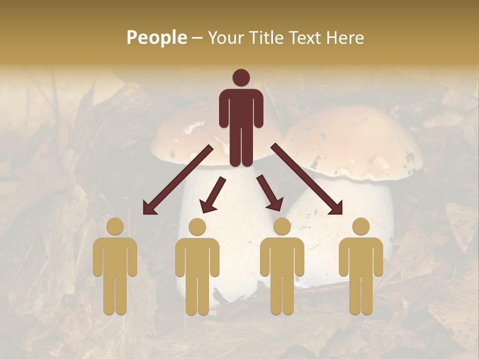 Botanical Season Natural PowerPoint Template