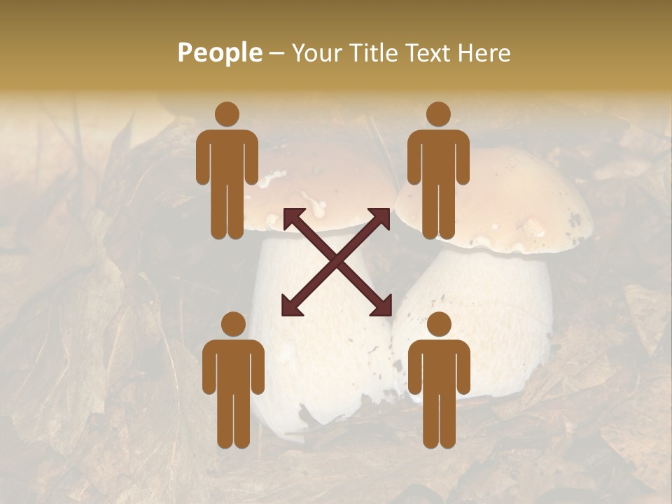 Botanical Season Natural PowerPoint Template