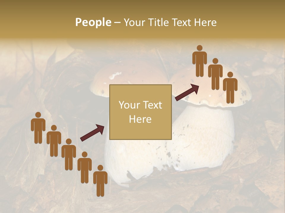 Botanical Season Natural PowerPoint Template