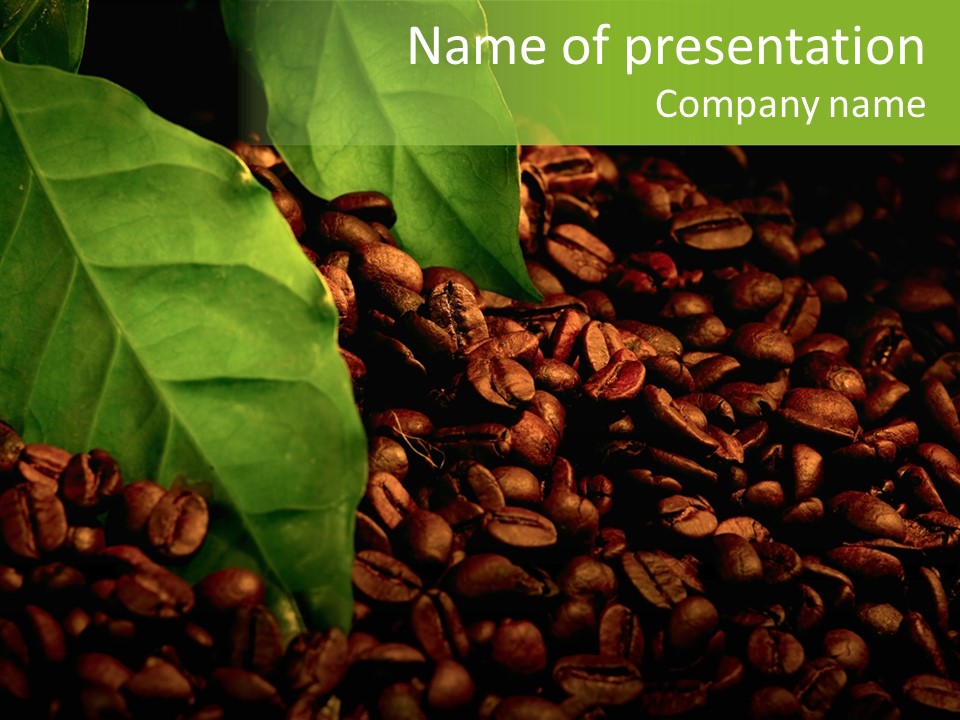 Coffee Beans PowerPoint Template