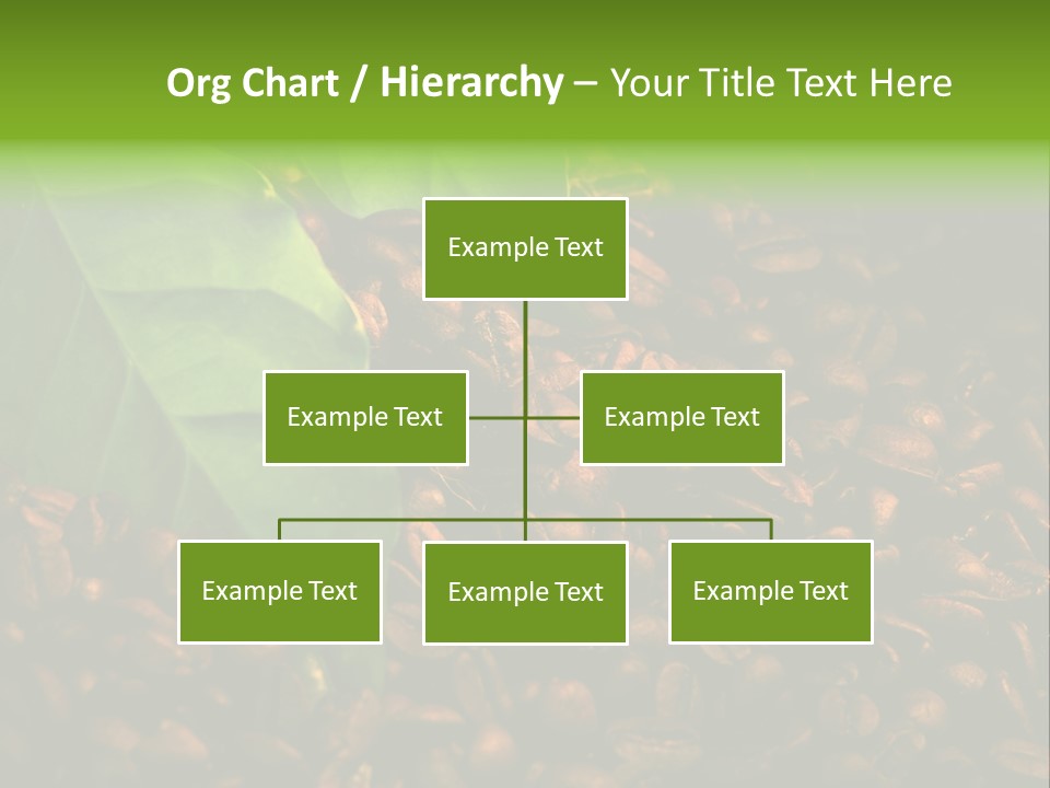 Coffee Beans PowerPoint Template