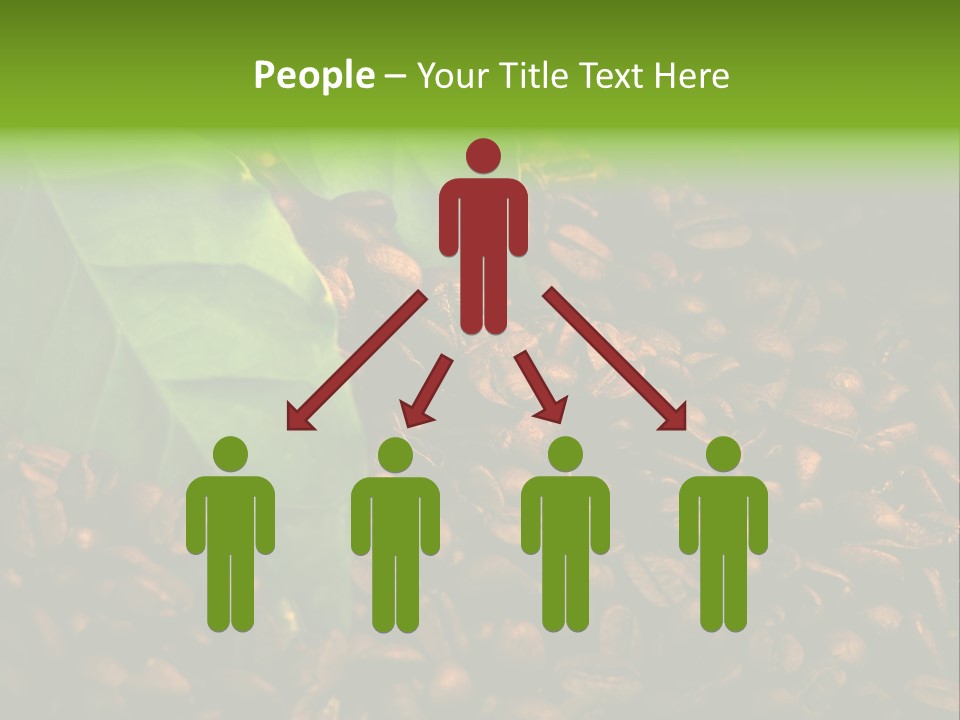 Coffee Beans PowerPoint Template