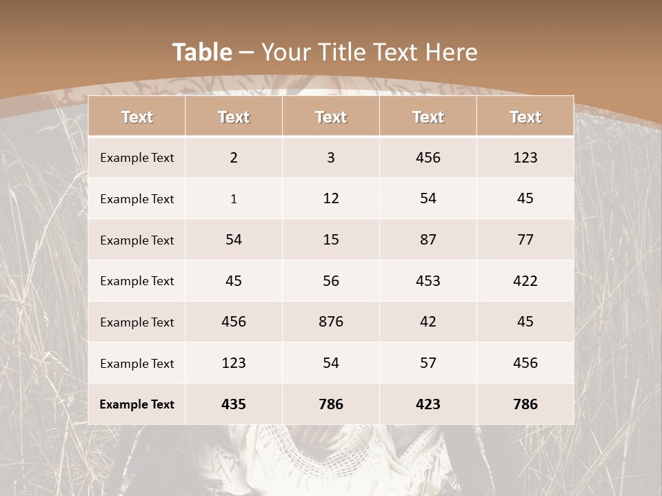 Fashion Blogger PowerPoint Template