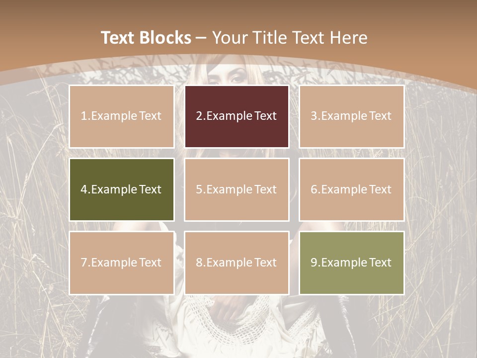 Fashion Blogger PowerPoint Template
