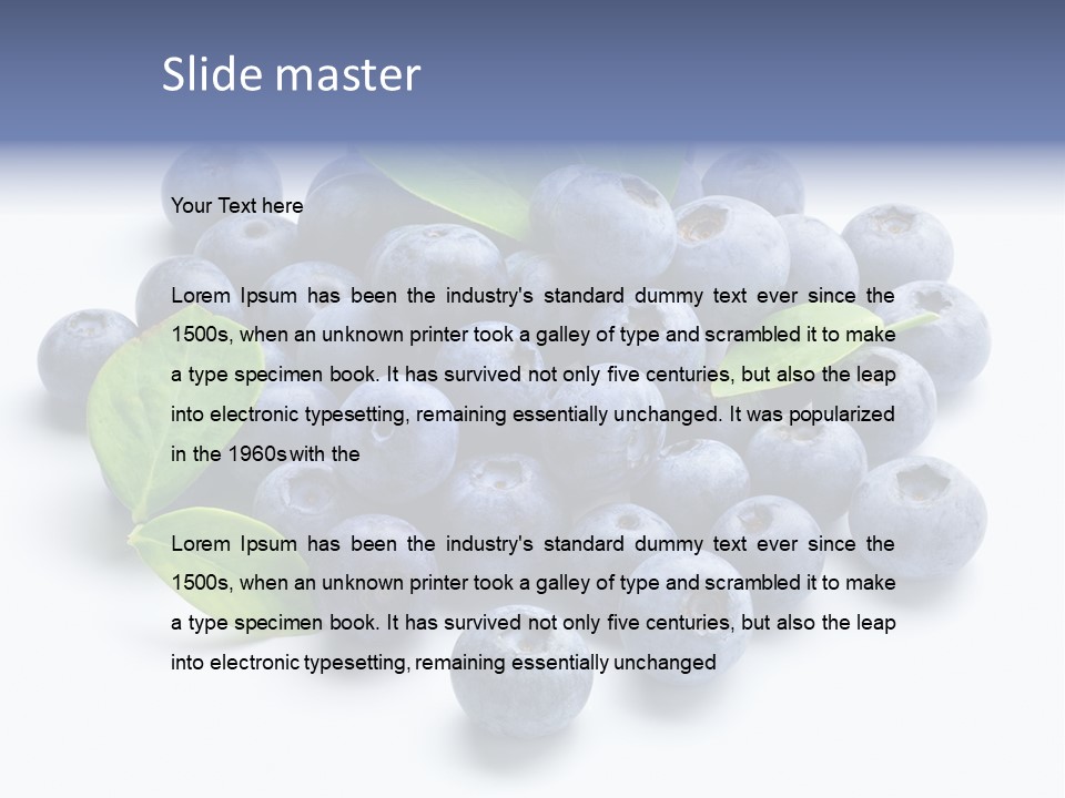 Blue Berry PowerPoint Template