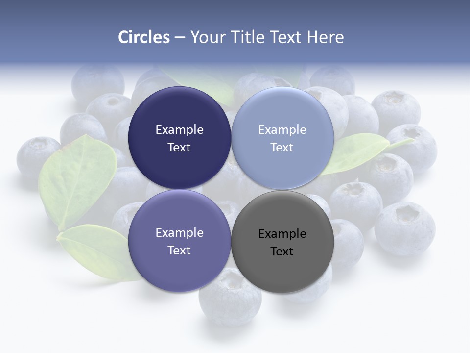 Blue Berry PowerPoint Template