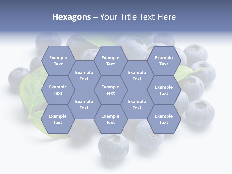 Blue Berry PowerPoint Template