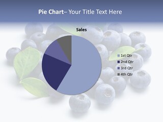 Blue Berry PowerPoint Template