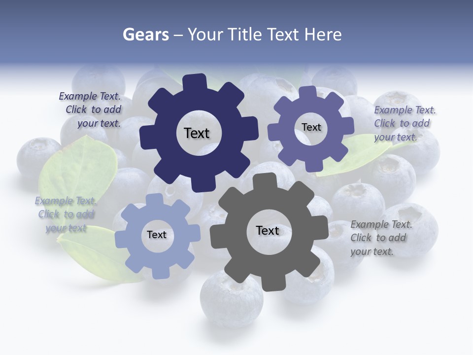 Blue Berry PowerPoint Template