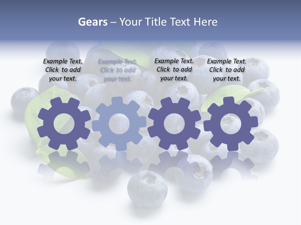 Blue Berry PowerPoint Template