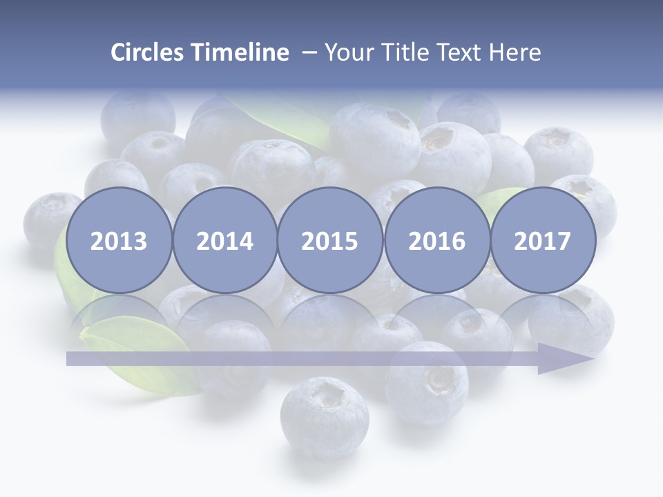 Blue Berry PowerPoint Template