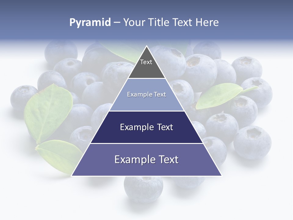 Blue Berry PowerPoint Template