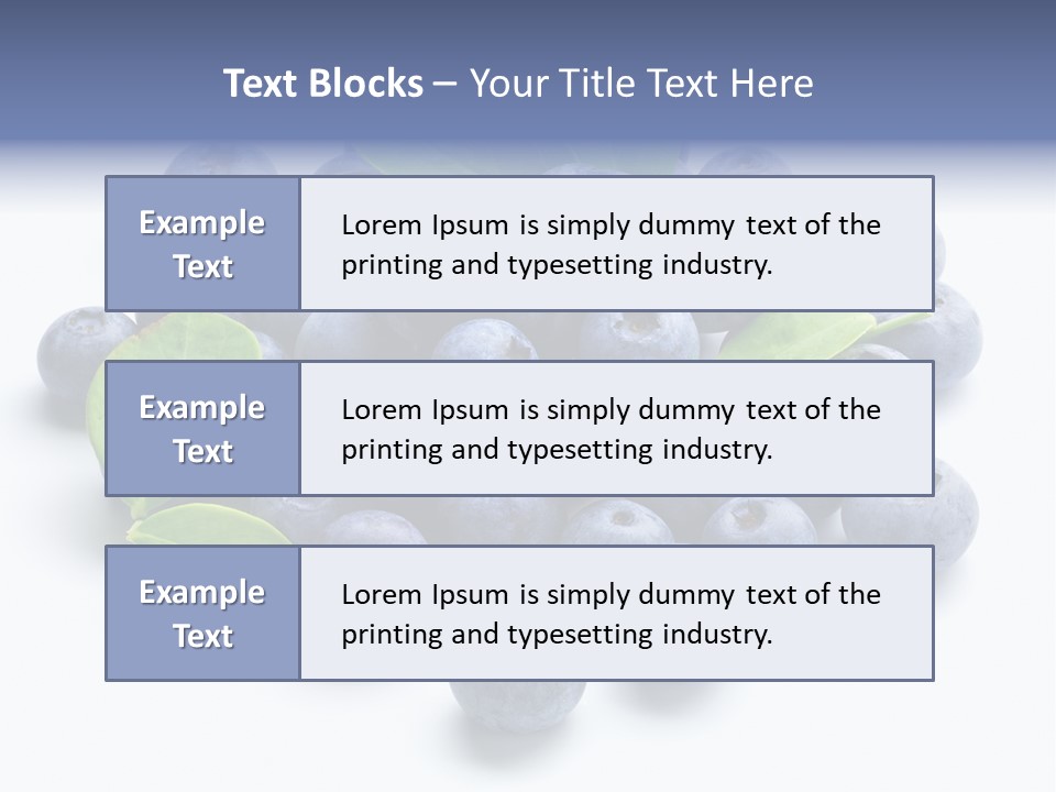 Blue Berry PowerPoint Template