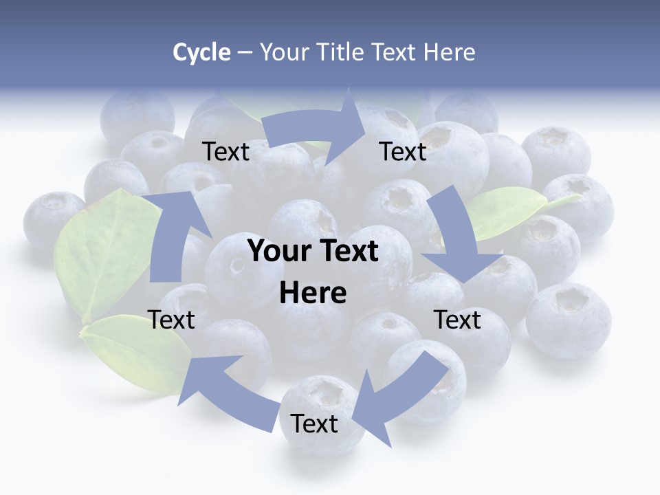 Blue Berry PowerPoint Template