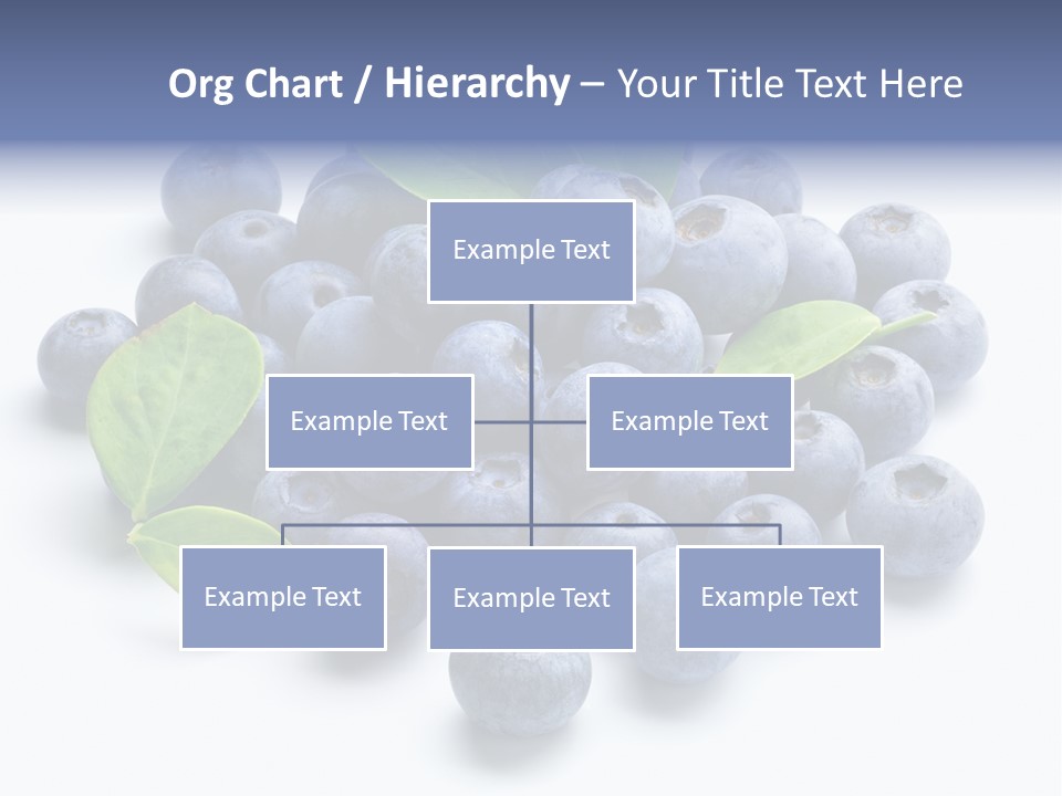 Blue Berry PowerPoint Template