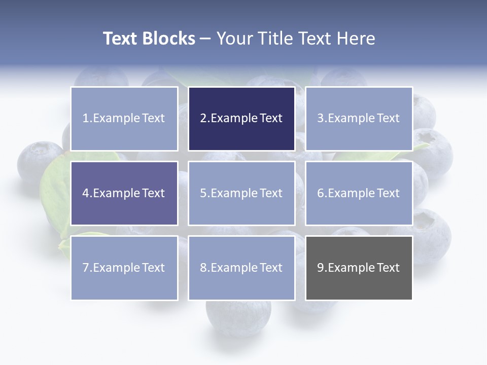 Blue Berry PowerPoint Template