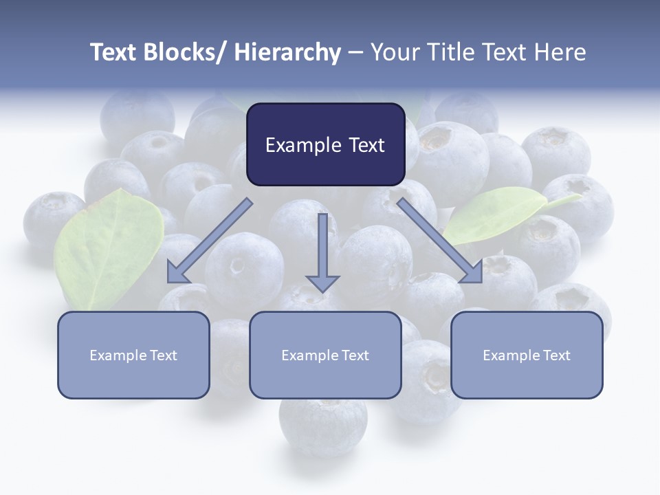 Blue Berry PowerPoint Template