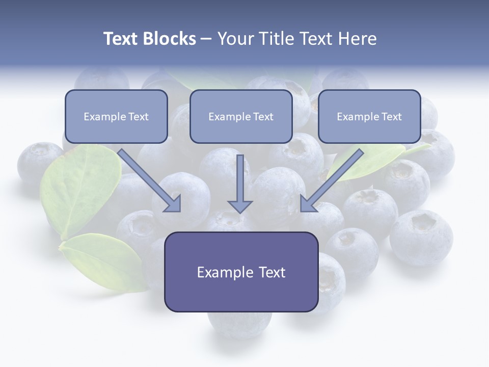 Blue Berry PowerPoint Template