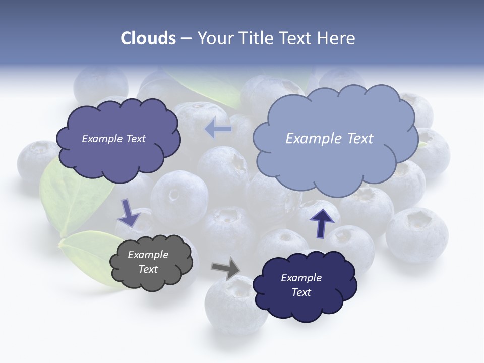 Blue Berry PowerPoint Template