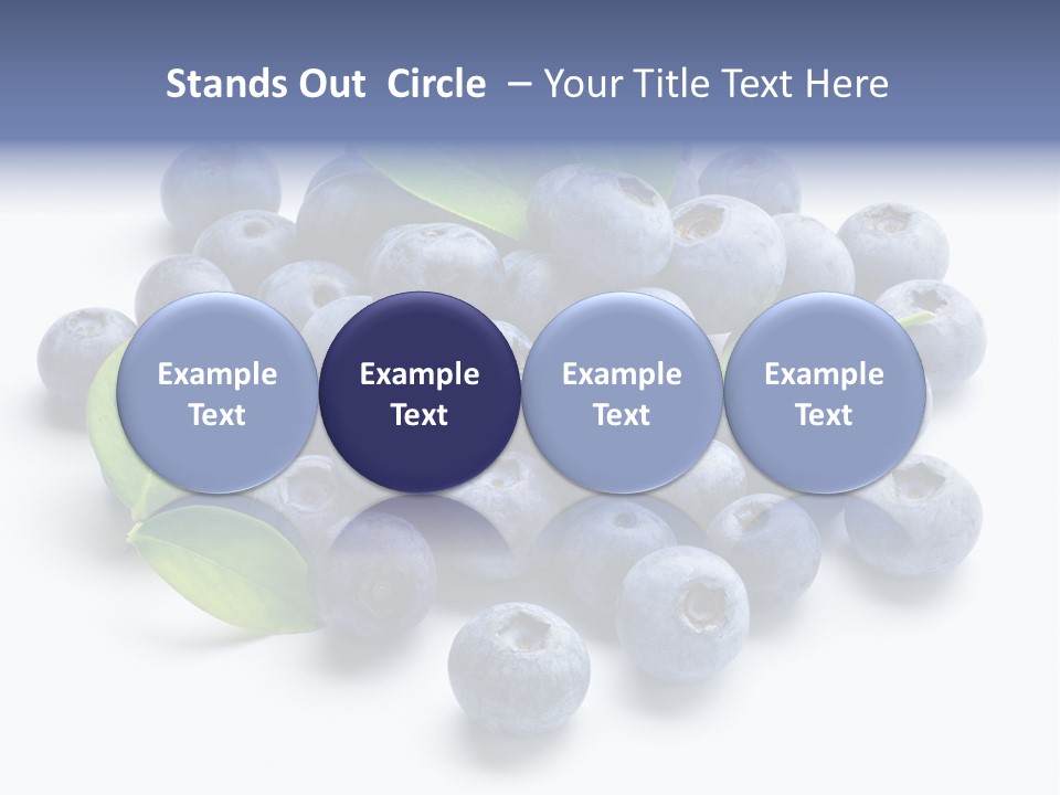 Blue Berry PowerPoint Template