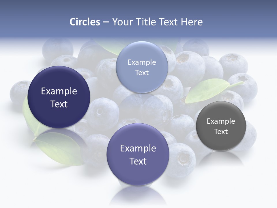 Blue Berry PowerPoint Template