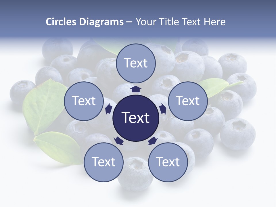 Blue Berry PowerPoint Template