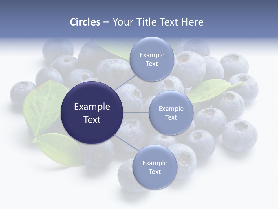Blue Berry PowerPoint Template