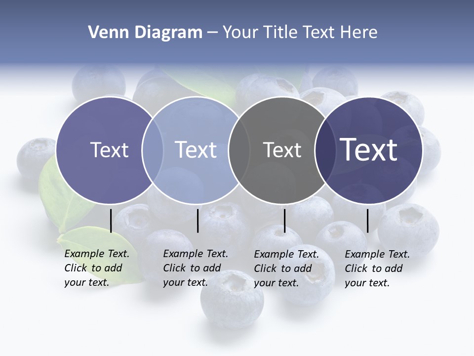 Blue Berry PowerPoint Template