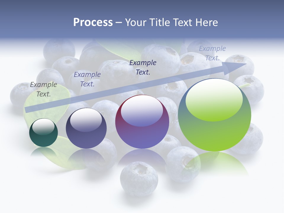 Blue Berry PowerPoint Template