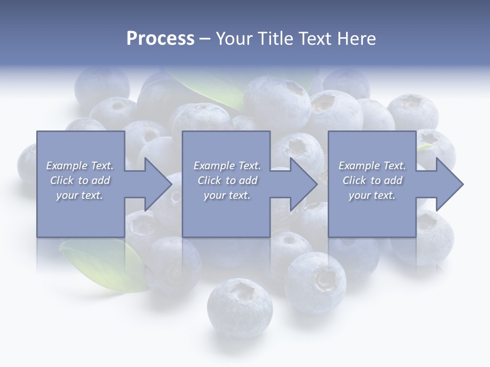 Blue Berry PowerPoint Template